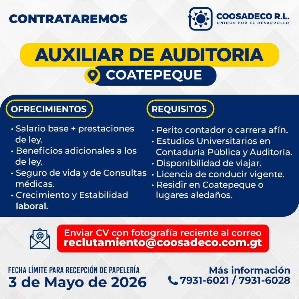 Auxiliar de auditoria